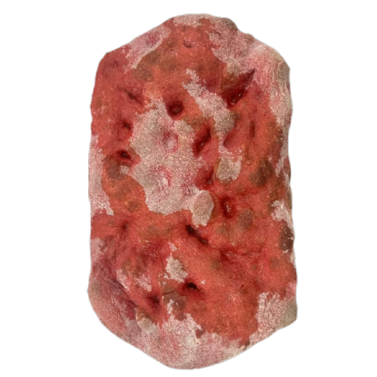 Immagine di La Quadra Special Red